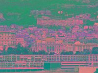 IMGP2799 edited (Medium)